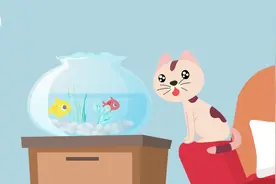 猫咪吃鱼和老鼠对它的身体有什么好处？