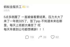 支付宝员工：入职一年就3.25，一直被催着要结果，压力太大想裸辞图片