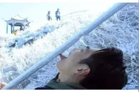 东北有多冷？看看过路的老鼠就知道了，网友：史上最惨老鼠图片