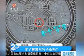 你了解贵州竹子币吗？价值真的有几十万？专家快鉴定一下！视频封面