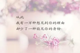 突然消失的男朋友图片