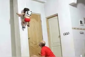 3岁小孩天赋异禀，能徒手快速上墙，父母也看呆图片