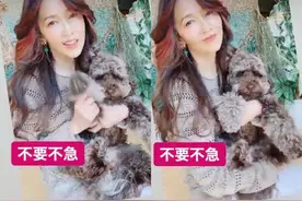 50岁工藤静香抱狗出镜，卷发挑染女神范足，皮肤紧致终于颜值回春图片