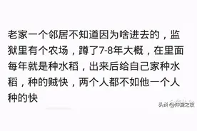 你有蹲牢房的经历么？啥感受？网友：珍惜现在，千万别走错路，哈图片