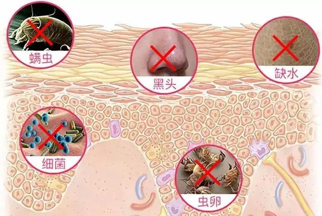 洗面奶中这2种网红护肤成分叠加使用：温和清洁+除螨杀菌＞2？