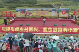 割稻谷、徒手捉鱼，福安潭头下洋村成功举办第五届“开镰节”图片