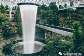 13岁女儿独自从新加坡飞中国，超详细攻略来了图片
