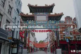 Google年度搜索热词榜，你猜到了吗图片