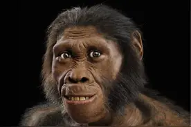 冬天起不来床，人类为什么不能冬眠，专家研究：古人类可能会冬眠图片