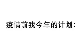 「表情包」 - 我今年的计划图片