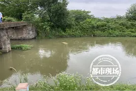 小车坠入3米河中 眼看就要没过车顶 驾驶员还不会游泳图片