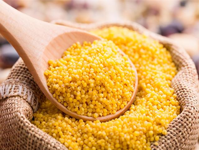 鍝噷灏忕背璐ㄩ噺濂斤紵鐗㈣4涓骇鍦帮紝钀ュ吇浠峰€奸珮锛岀叜绮ラ绯矘绋犵背娌瑰帤