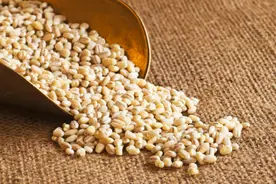 薏米要避光密封保存图片