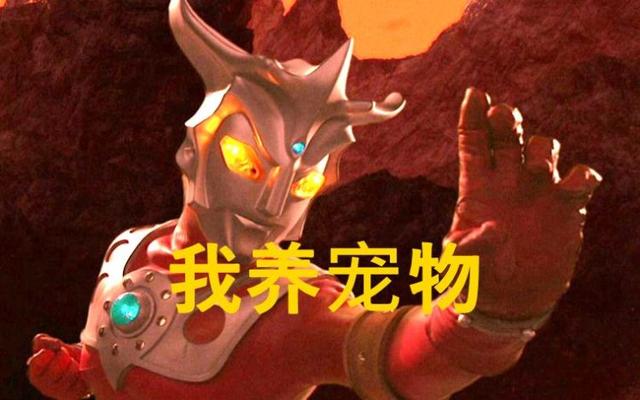 四个养宠物的奥特曼，泰罗的很可爱，他却被宠物打伤！