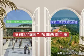 “既生瑜何生亮”，成都天府动物园选址，上演“东邪西毒”比拼图片