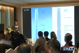 重庆第一高楼A-ONE将建六大艺术空中花园图片