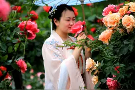 五一假期河南焦作市公园、广场随拍图片