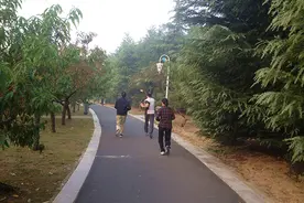 一直在减肥，但就是没瘦？过来人送你靠谱减肥“技巧”，不妨照做图片