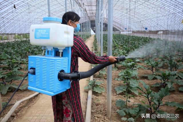 蔬菜喷醋能增产？专家：先别说能否增产，先说喷醋的危害有多大