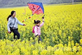 甘肃：中小学可按有关规定安排放春假、秋假图片