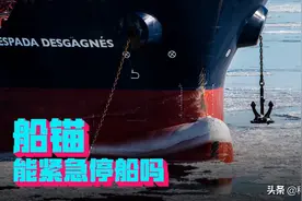 堵船6天损失60亿，那么为了避免撞船，可以紧急抛锚吗？图片