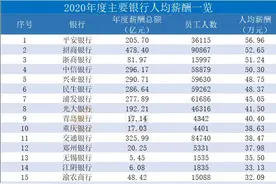 利润一般般，高管平均年薪却达到425万，难怪史玉柱炮轰民生银行图片