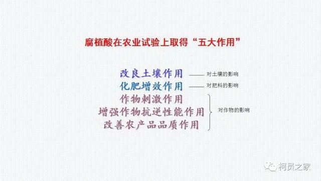 氨基酸、腐殖酸、黄腐酸都是什么东东？有啥用？