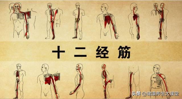 拉开身上“筋结”，缓解多种疾病！专家独门拉筋法
