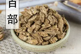 中药古今研究：百部图片