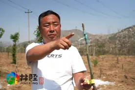 河北这位“养大车”的老板谁认识？你知道他能赚多少钱吗？图片