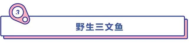 想瘦不能错过！10大高蛋白食物，让你减脂速度翻倍！