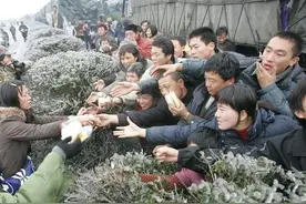灾难再度降临？今年是60年来最冷的冬天，地球或将进入小冰河期？图片