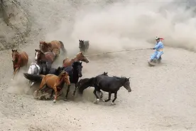 【秋日驯马】图片