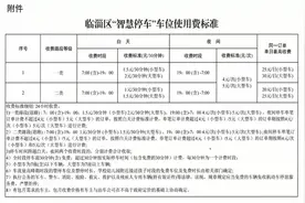 执行标准公布！6月1日起，淄博一区县“智慧停车”车位开始收费！图片