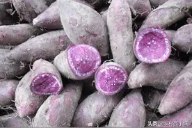 紫薯的种植管理要点 这一些要知道图片