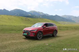 大唐小唐历险记—雄鹰作伴，骏马为伍，驰骋草原，游牧好时光图片