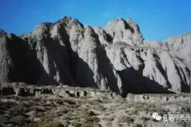 当兵记忆：贵 德 农 场 3 6 5图片