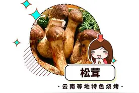 大多数国人没吃过的烧烤神级吃法，都在夜市的烧烤摊（菲李漫画）图片