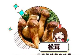 大多数国人没吃过的烧烤神级吃法，都在夜市的烧烤摊（菲李漫画）图片