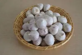 可以扔到鱼缸里，治疗鱼病的四种调料，有兴趣的鱼友不防试试图片