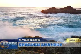发现家乡之美：程野邀您游滨城 品读家乡别样美图片