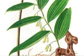 每日识一物，每日学一物图片