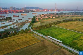 广州有座百户人家江心孤岛，登岛需乘船，被遗忘的世外桃源图片