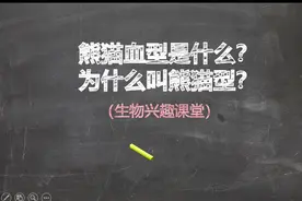 什么是Rh阴性血？视频封面
