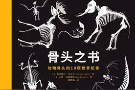 长颈鹿的脖子、蝙蝠的翅膀、蟒蛇的身体，原来和我们是一样的图片