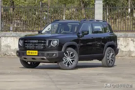 新车 |“减配”降价？哈弗大狗旺财版现身，性价比更高？图片
