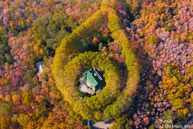 大疆Mavic Mini带你领略不一样的城市（一）图片