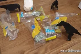 一物降一物，日本人妻小妙招纠正丈夫邋遢习惯，惹得网友纷纷偷师图片