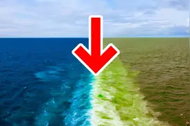 都是海水，为什么太平洋和大西洋不相融，而是有条“三八线”？图片