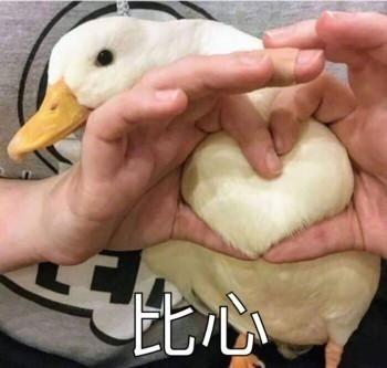 新游|花花姑娘的梦幻花店开业了，来体验幸福的经营之旅吧！